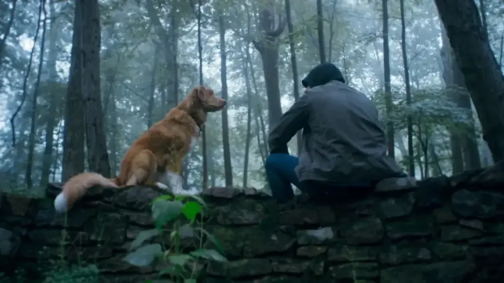 Melhores filmes de terror com animais para assistir